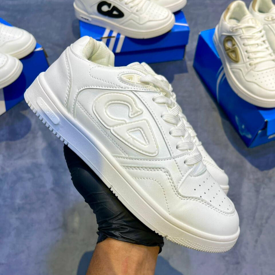 DIOR-W